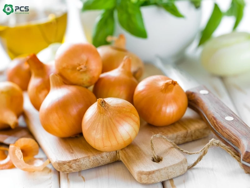 Cách tiêu diệt gián 